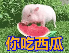 黑料吃瓜第一页：揭开娱乐圈的“黑幕”真相