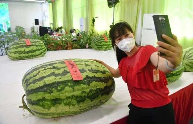 变量名不存在