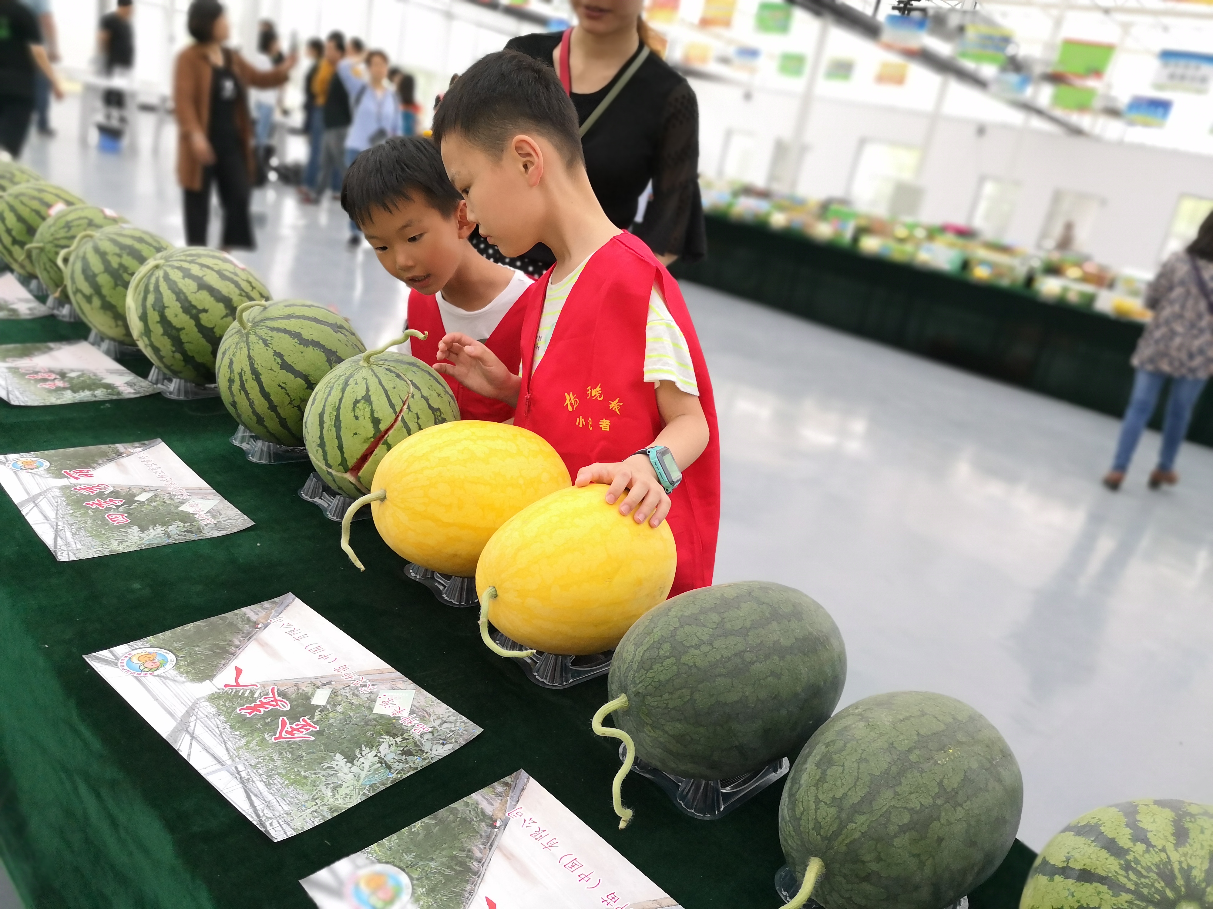 91吃瓜黑料不打烊：娱乐圈背后的不为人知的秘密