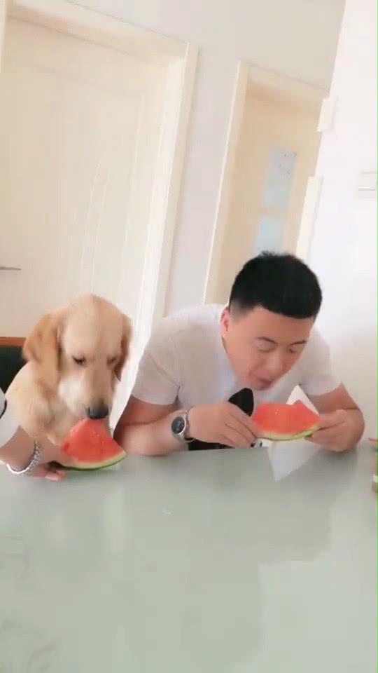 揭开网曝吃瓜黑料网站的神秘面纱：如何辨识真假信息