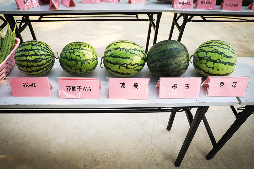 每日热点