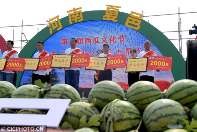 网红吃瓜黑料爆料网：揭秘娱乐圈那些不为人知的秘密